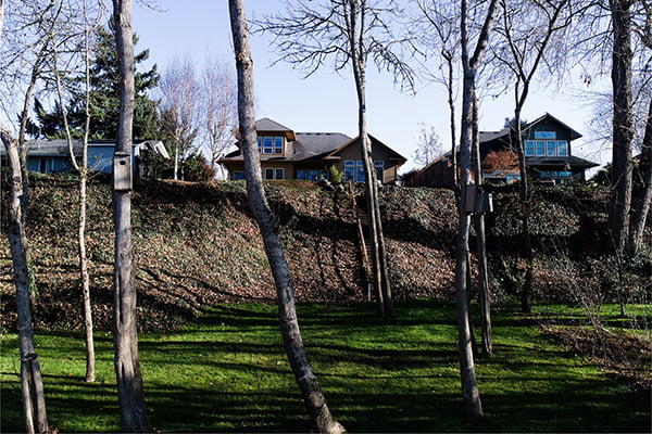 Aerial view of line of homes along river