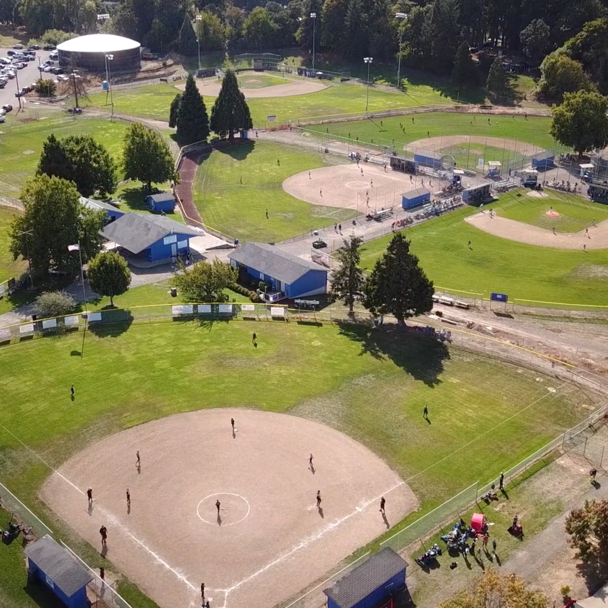 Aerial view of a park with multiple baseball diamond