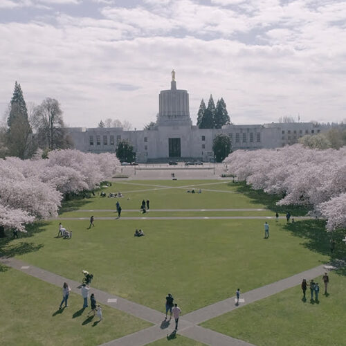 Aerial view of Salem, Or capital building and park with blossoming cherry blossoms
