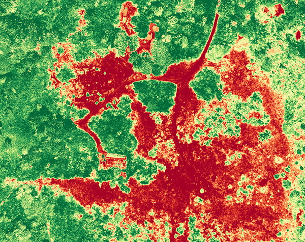 Aerial view of plant health map