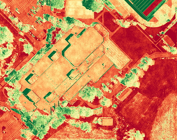 Aerial 2D view of landscape design